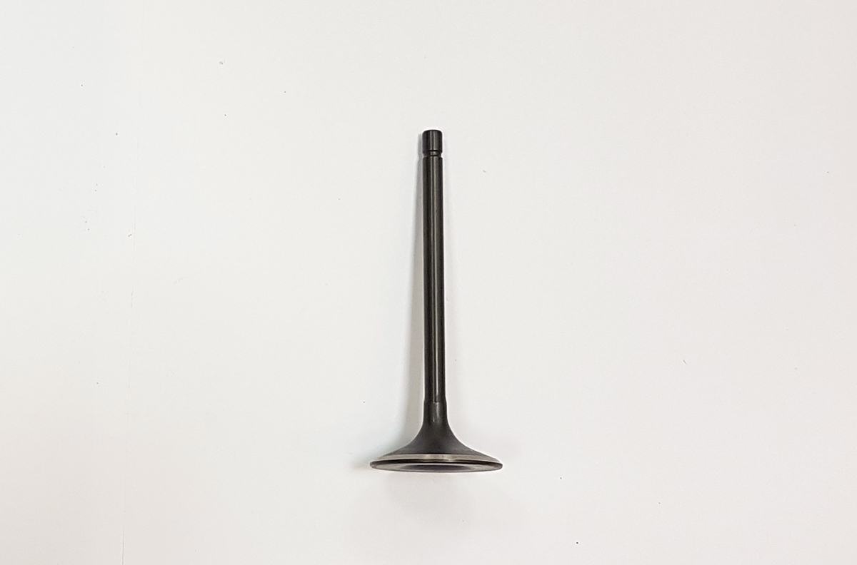 Клапан впускной [100108483]