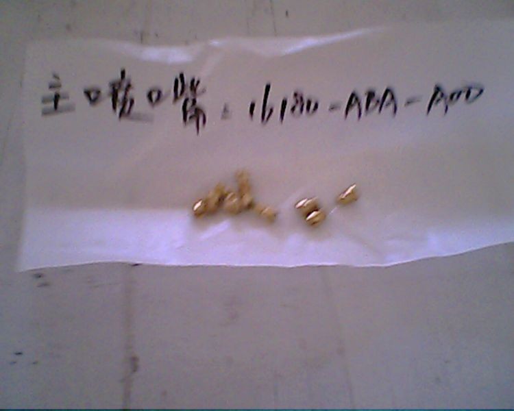 Жиклер карбюратора главный