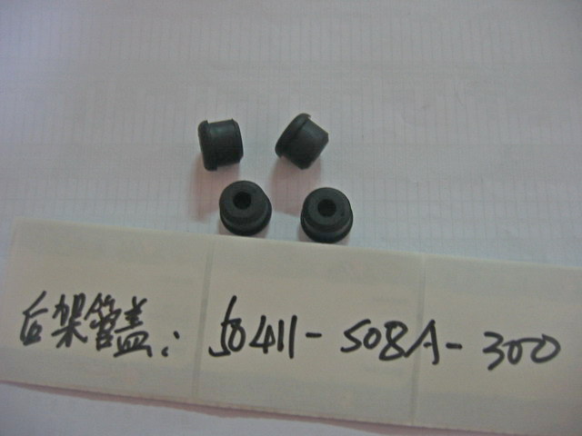 Крышка задней трубы