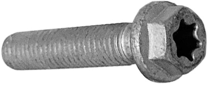 HH COLLAR SCREW M6X30 TX30