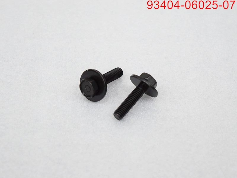 Болт с шайбой 6х25