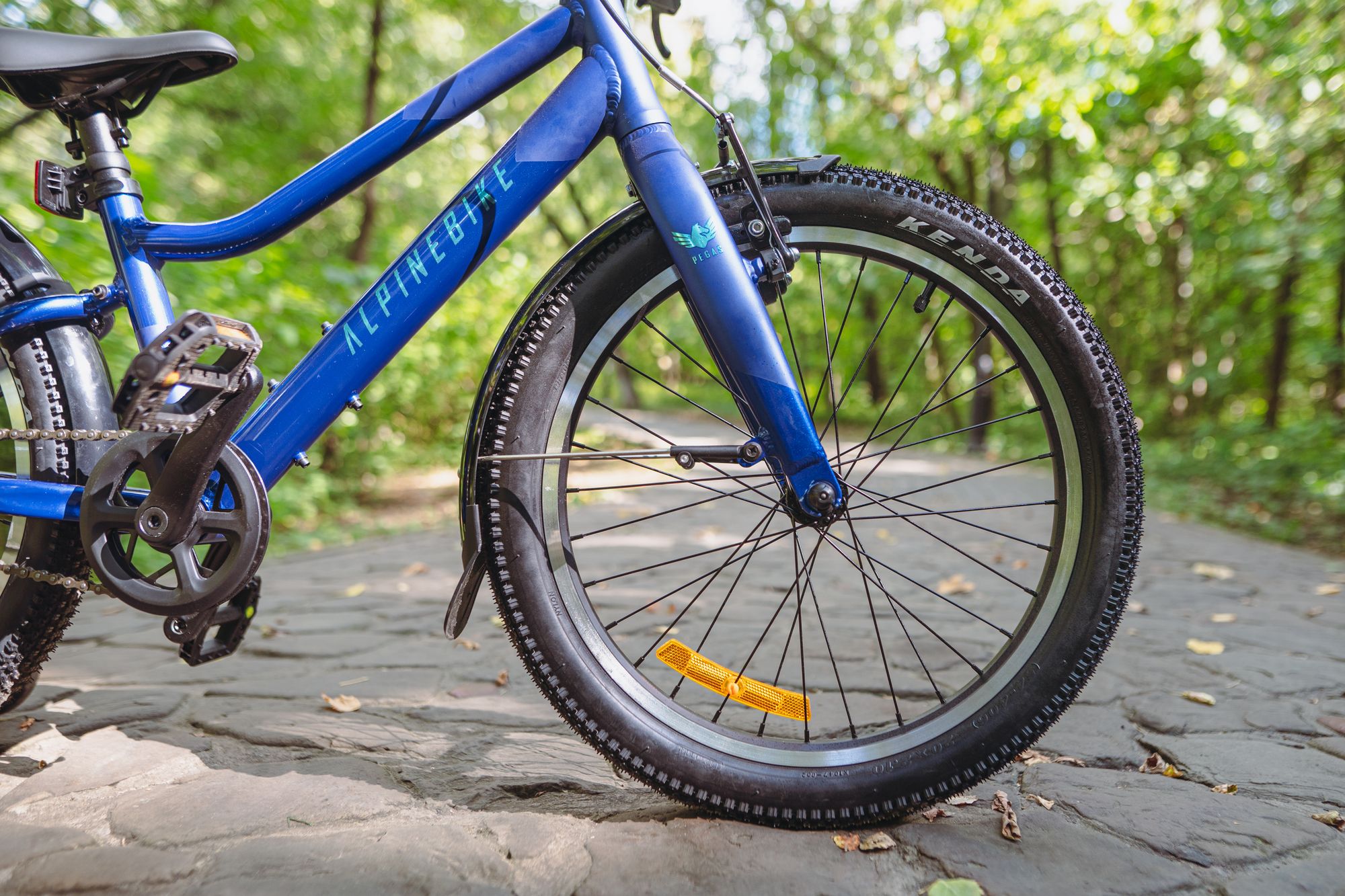 Велосипед детский Alpinebike Pegas 1-20, один размер, цвет Синий