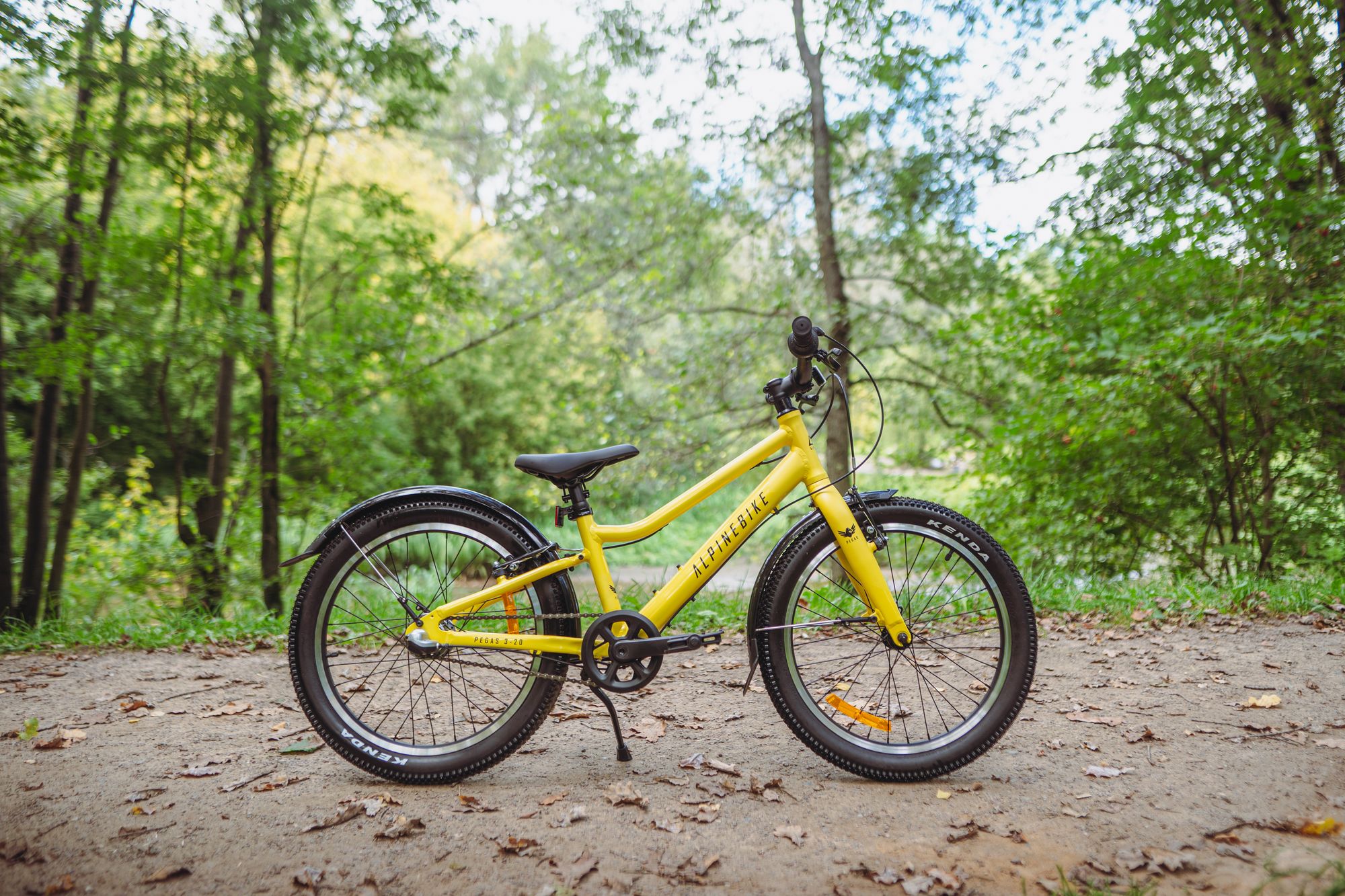 Велосипед детский Alpinebike Pegas 3-20, один размер, цвет Желтый