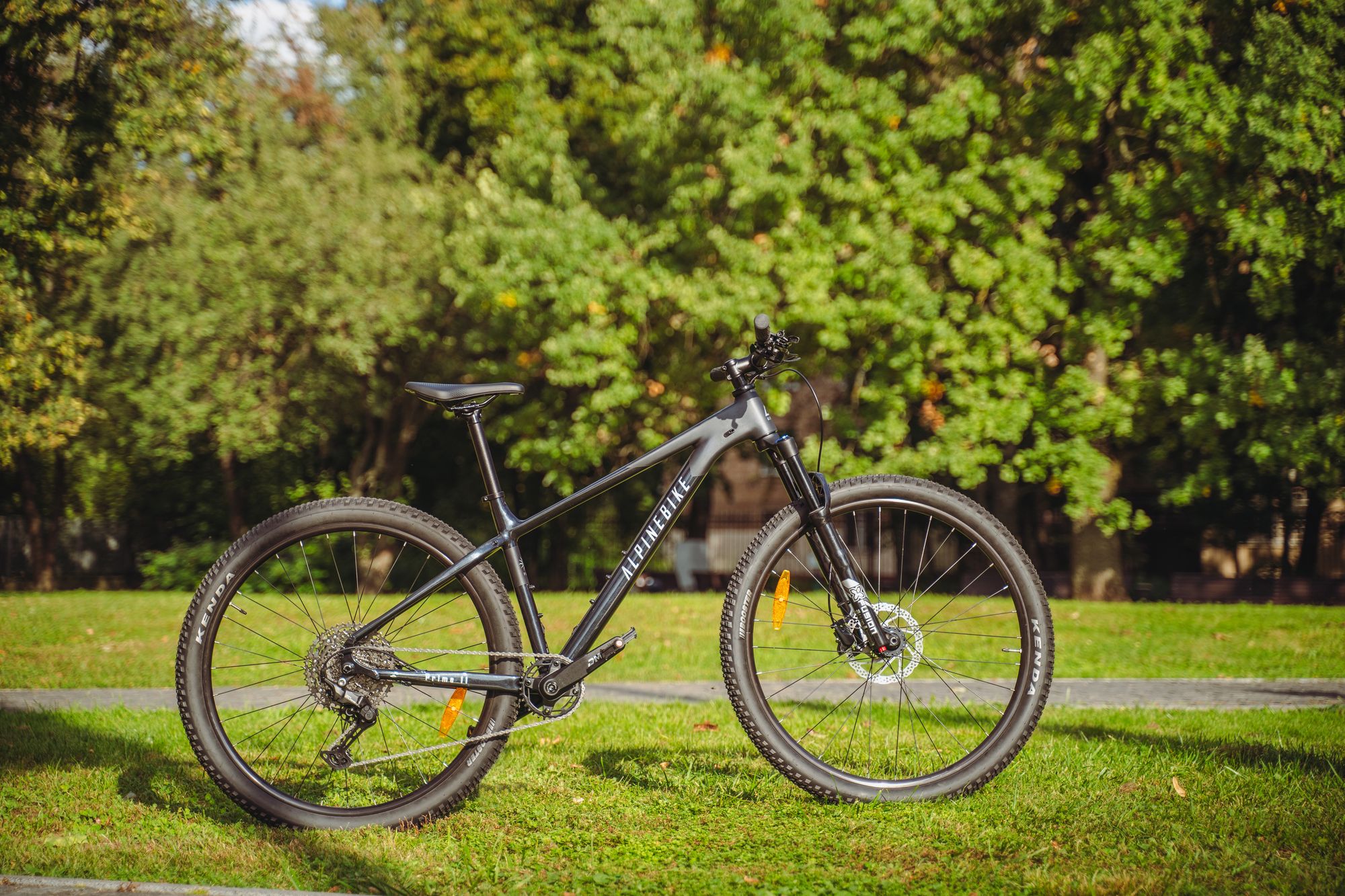 Велосипед горный Alpinebike Prime 11 Черный