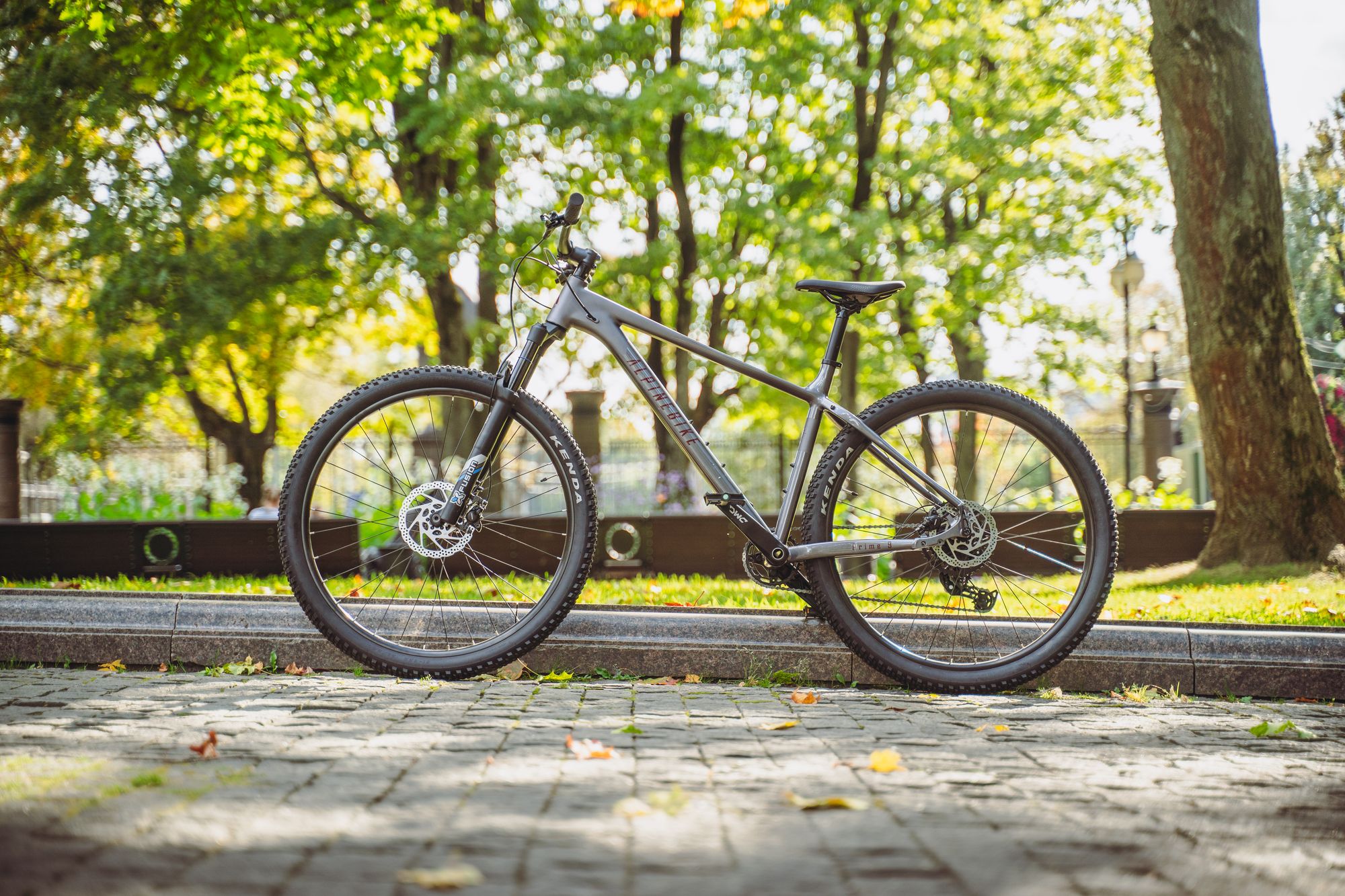 Велосипед горный Alpinebike Prime 9 Серый