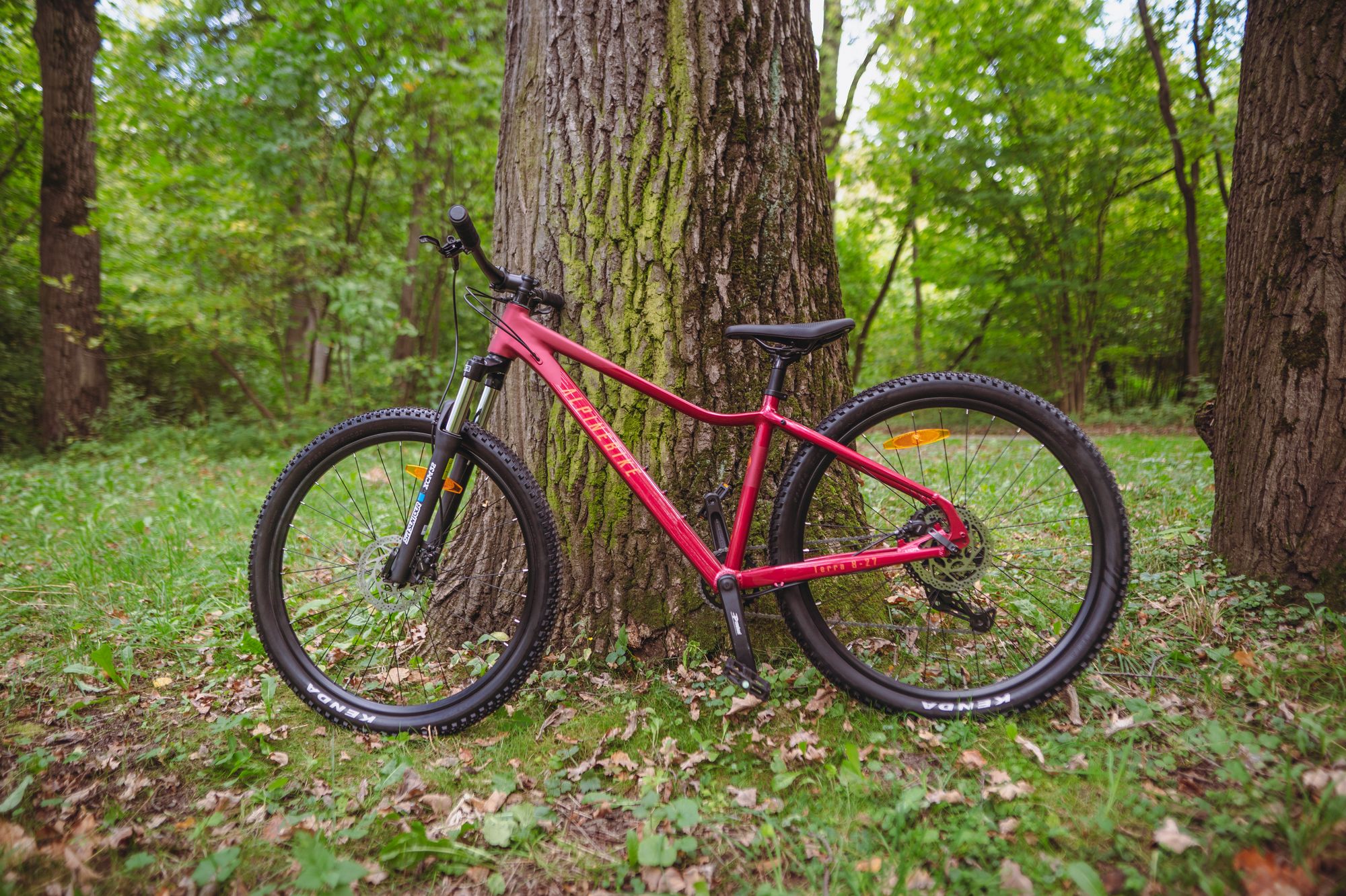 Велосипед горный Alpinebike Terra 8W Красный