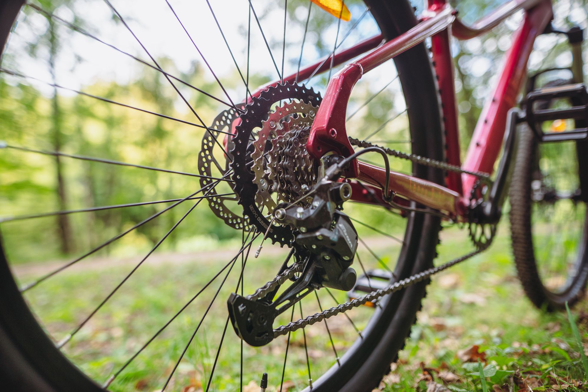 Велосипед горный Alpinebike Terra 8W Красный