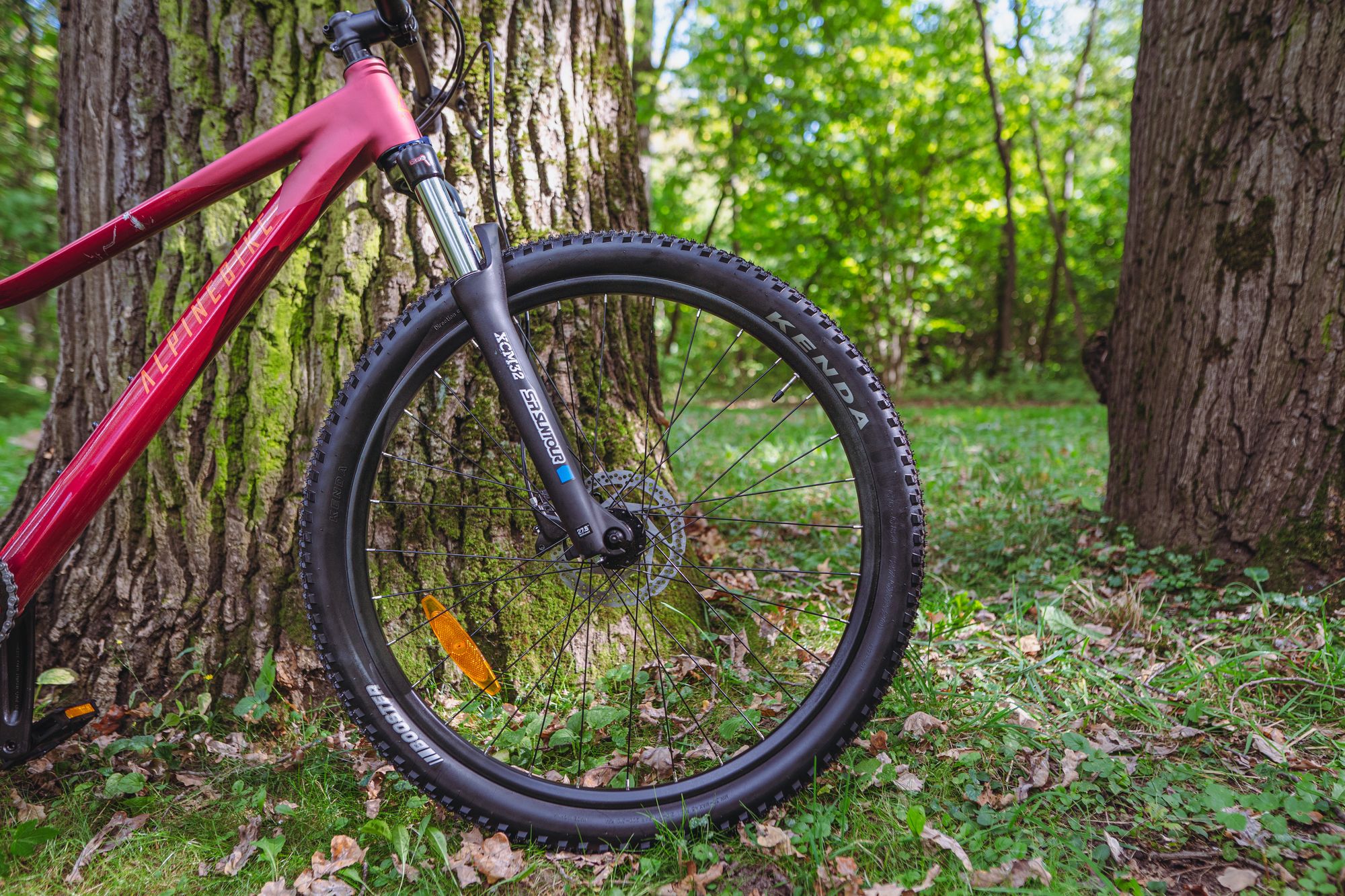 Велосипед горный Alpinebike Terra 8W Красный