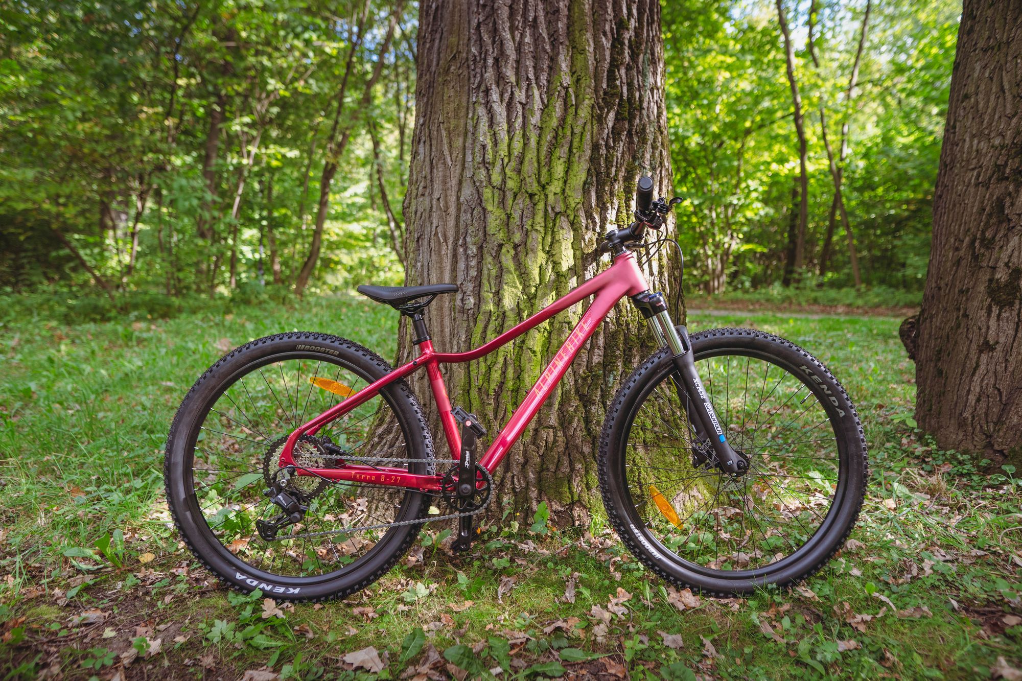 Велосипед горный Alpinebike Terra 8W Красный