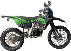 Z10L