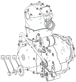 Звезда ведущая