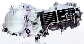 ZS1P60YMJ (W150)