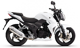 Wolf 250
