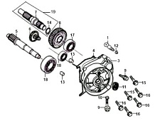 ТРАНСМИССИЯ